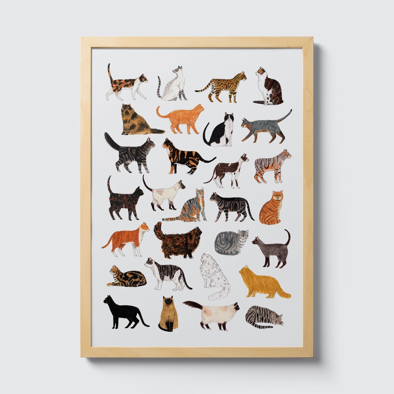 Cat Print, Cat wall art, cat art, giclee print, cat nursery art, cat lover gift, cat illustration, cat poster, cat lover gift, pet art, cats image 5