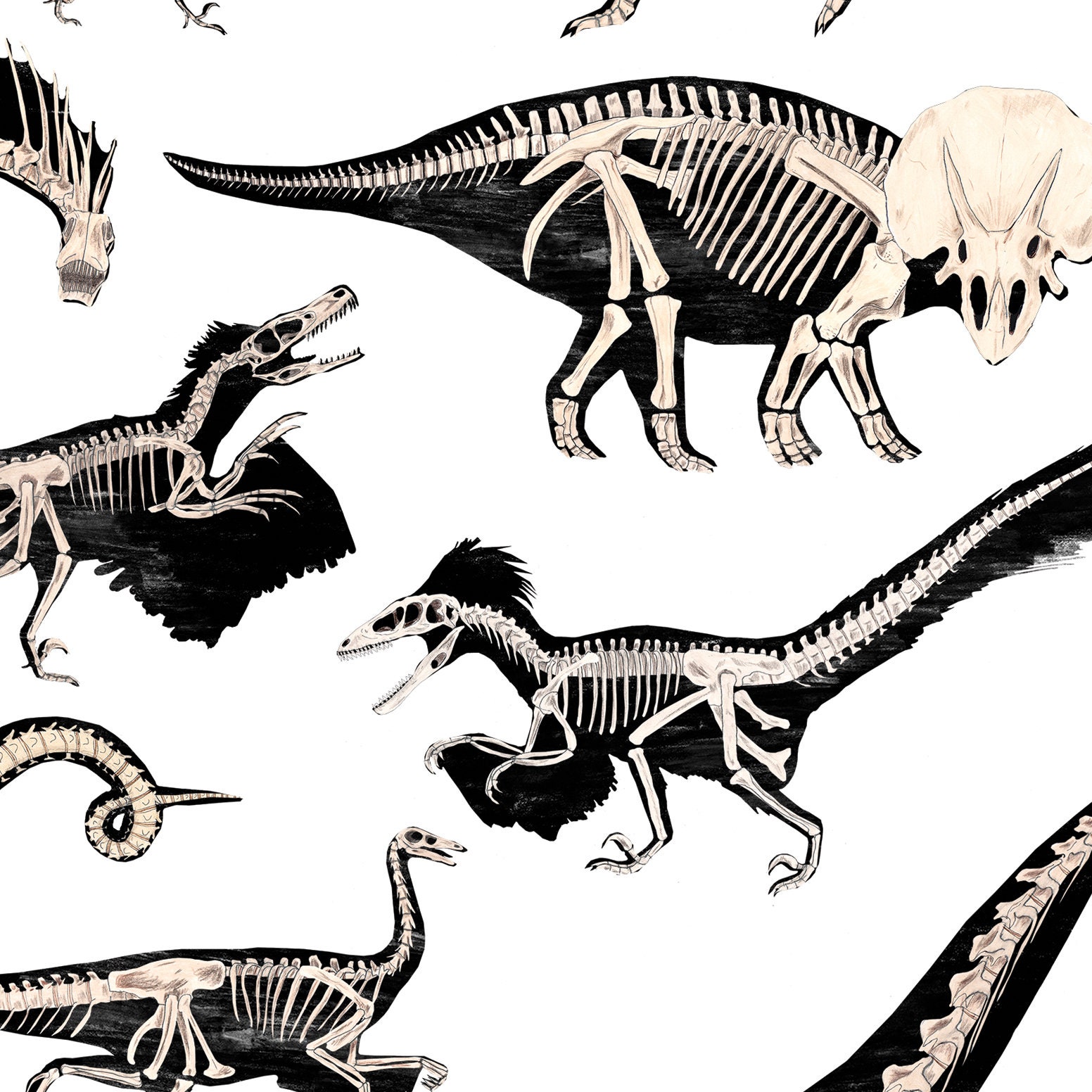 Dinosaurs Fossils Print Dinosaur decor kids decor dinosaur | Etsy