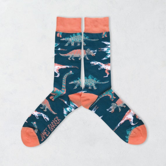 Dinosaur socks mens socks women socks colourful socks kids | Etsy