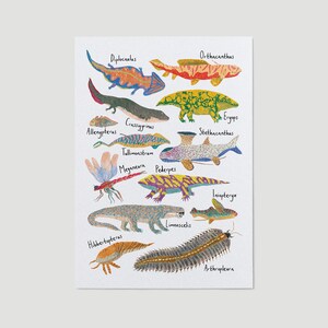 May include: An illustration of extinct prehistoric sea creatures, including the Diplocaulus, Orthacanthus, Stethacanthus, and more. Each creature is labeled with its scientific name in a colorful, hand-drawn style.
