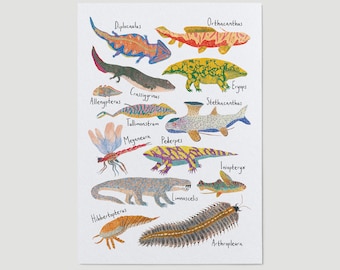 Charming Carboniferous Animals Art Print - Vibrant, Hand-Illustrated Creatures from the Period, Available in A4 or A3, With or Without Names