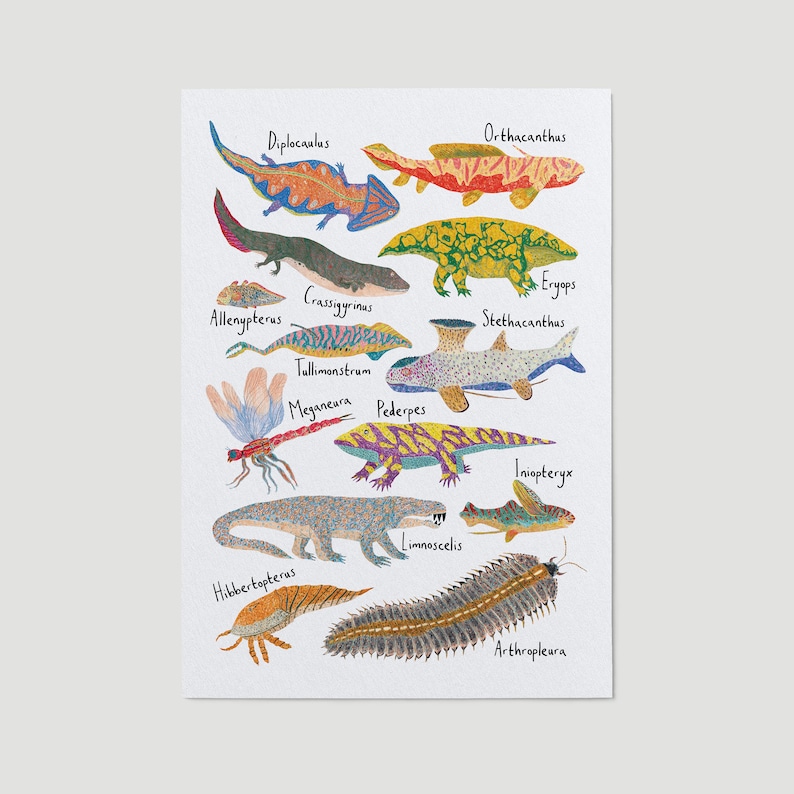 May include: An illustration of extinct prehistoric sea creatures, including the Diplocaulus, Orthacanthus, Stethacanthus, and more. Each creature is labeled with its scientific name in a colorful, hand-drawn style.