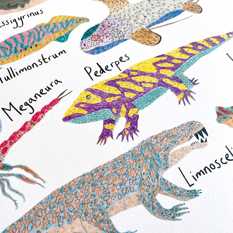 May include: A colorful illustration of extinct animals, including a purple and yellow lizard labeled "Pederpes", a blue and orange fish labeled "Tullimonstrum", a red and orange scorpion labeled "Meganeura", and a light blue and brown lizard labeled "Limnoscelis".