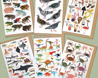 Illustrated Greeting Card Set: Animals, Dinosaurs, Mushrooms, and More