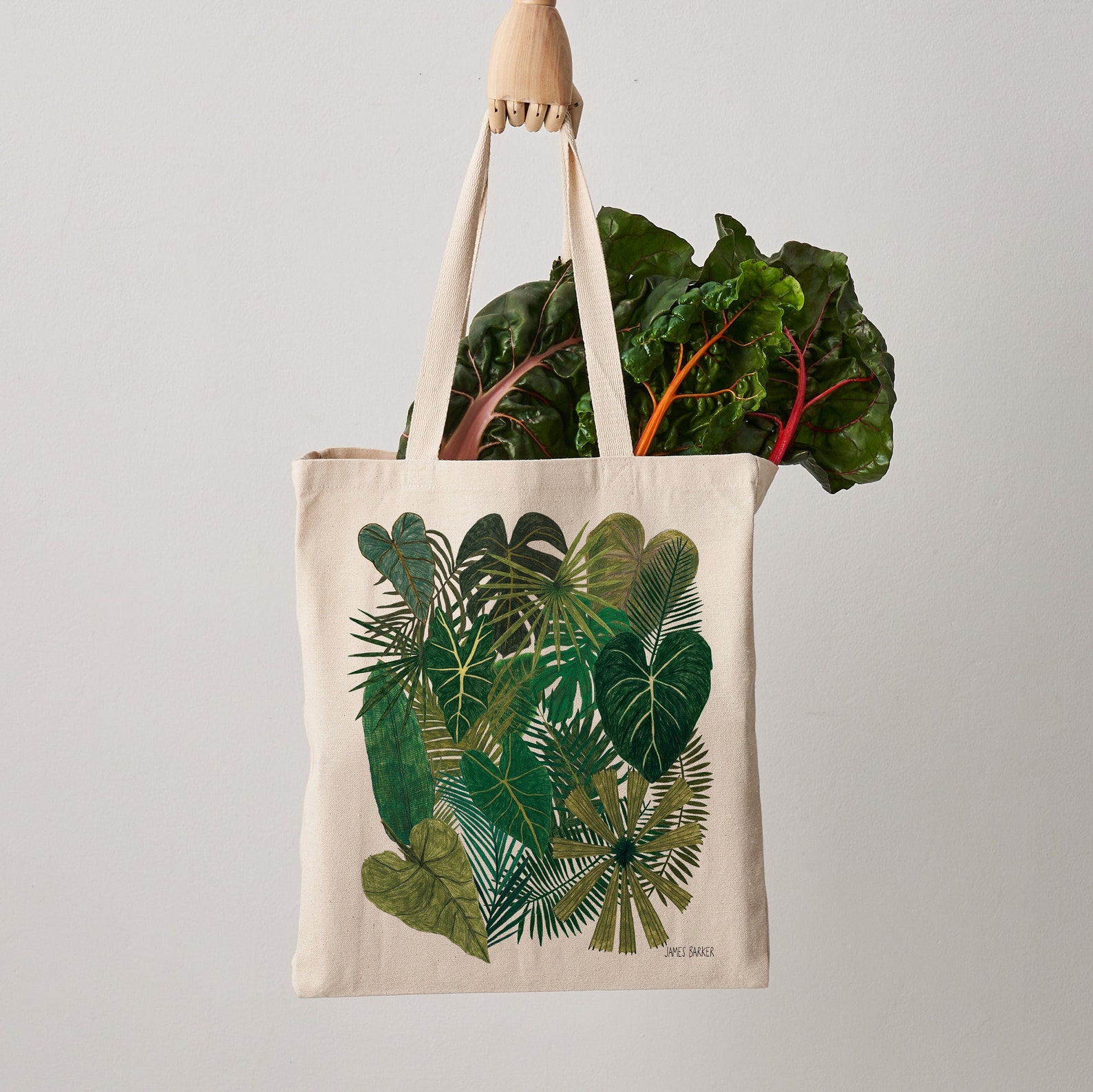 Botanical Plants Canvas Tote Bag Plant Bag Botanical Print Etsy
