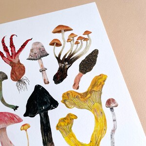 Mushrooms Print, Toadstool Wall Art, Mushroom decor, Botanical print, Fungi poster, Kitchen Wall Art, Home Kitchen decor, Foraging, Wild image 7