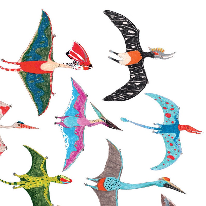 Pterodactyl Print Flying Dinosaurs Wall Art Dinosaur Print | Etsy