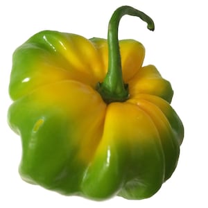 Scotch Bonnet Hot Pepper