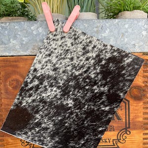 May include: A piece of cowhide leather with a black and white spotted pattern. The leather is held in place with two pink clothespins. The background includes a wooden crate and greenery.