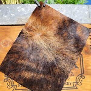 and Crafts Jewelry 8.5x11 Brindle Hair On Hide Cowhide Leather Sheet for Bows #17