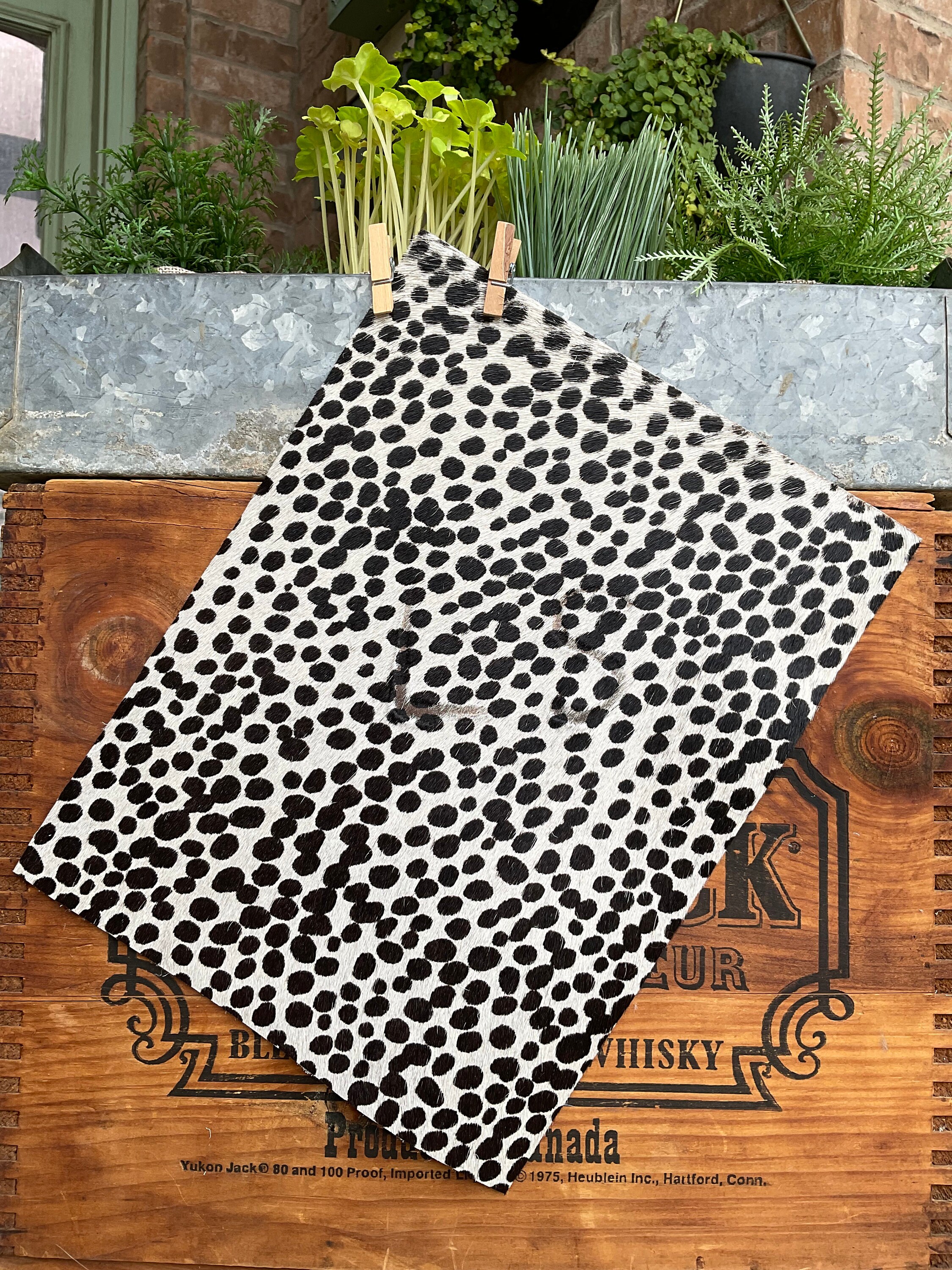 SP2 / 8.5x11 Speckled Dot Black and White Hair on Hide