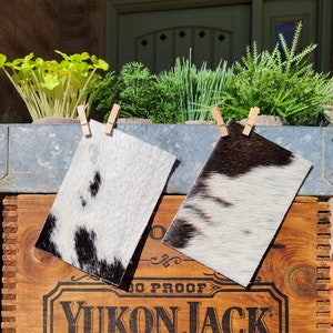 Set of 2 - 4&quot;x6&quot; Hair-On Cowhide Leather Pieces (Set 9) for Bows, Jewelry, and Crafts #1