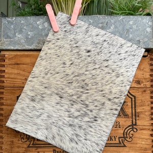 BC10 / 8.5x11 Black and White/Cream Hair On Hide Cowhide Leather Sheet for Bows, Jewelry, and Crafts