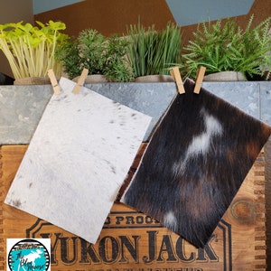 Set of 2 - 5&quot;x7&quot; Hair-On Cowhide Leather Pieces (Set 3) for Bows, Jewelry, and Crafts #1