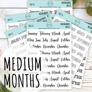 Medium Month Stickers for Bullet Journals and Planners  H543 image 1