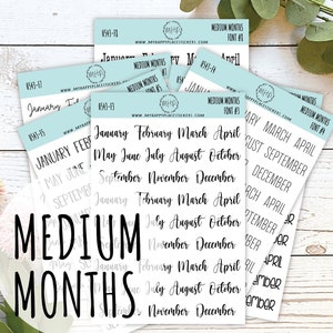 Adesivi mensili medi per bullet journal e pianificatori. // H543