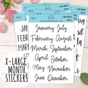 X-LARGE Month Stickers for Planners, Organizers, Bullet Journals, and Happy Planners || F741