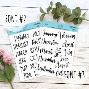 X-LARGE Month Stickers for Planners, Organizers, Bullet Journals, and Happy Planners F741 image 3