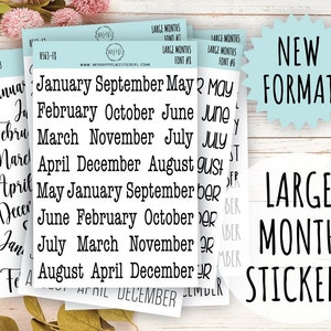 Large Month Stickers for Planners, Organizers, Bullet Journals, and Happy Planners. College Planner. 8 Fonts to Choose From || H563