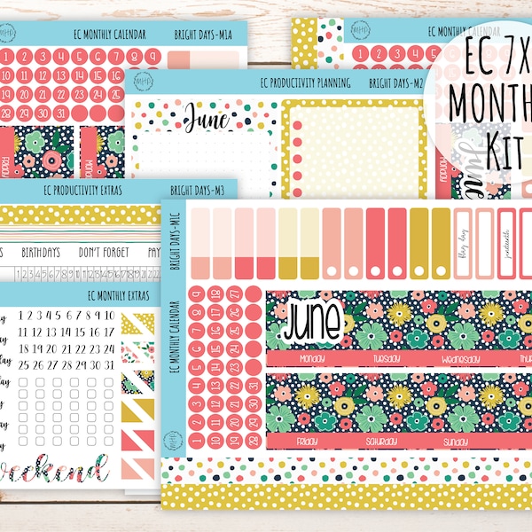 Erin Condren 7x9 Monthly Kit. JUNE  "Bright Days" Planner Stickers || BD-M