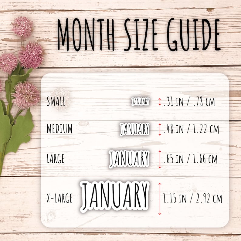 X-LARGE Month Stickers for Planners, Organizers, Bullet Journals, and Happy Planners F741 image 8