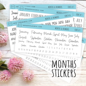 Months and Number Stickers for Planners, Organizers and Bullet Journals || T302