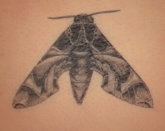 Hawk Moth temporary tattoo. Temporary tattoo with Hawk Moth inkwork. Spiritual tattoo. Army Oelander Moth Tattoo.