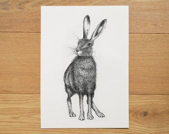 Hare illustration. Hare artwork. Black and white art. Hare print. Animal art. Wildlife illustration. Ink drawing.