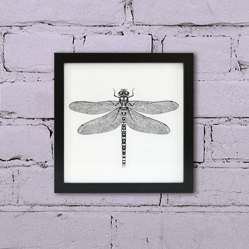 Framed Dragonfly print. Dragonfly wall art. Wildlife black ink Etsy