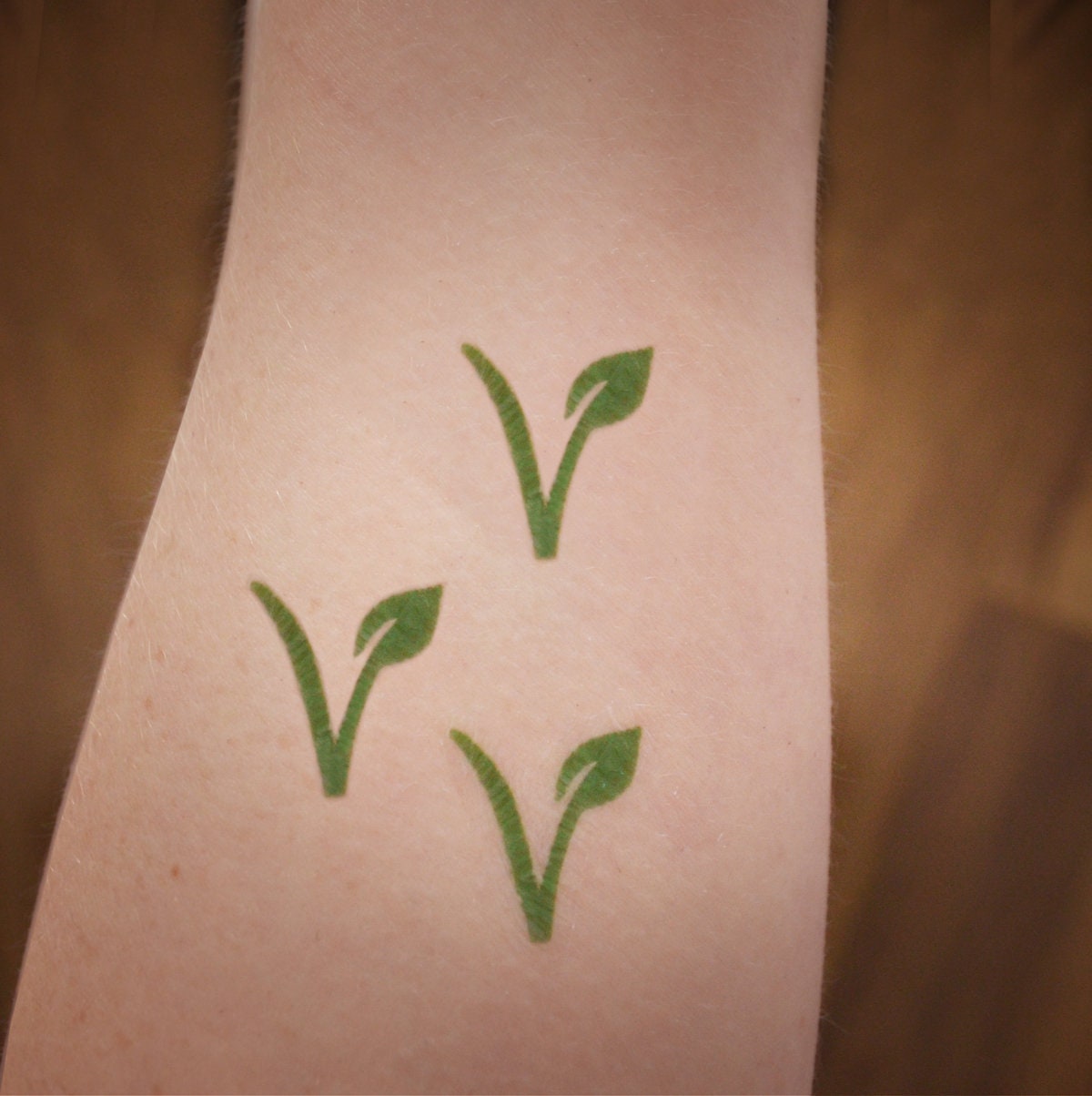Set of Vegan temporary tattoos. Vegan gifts. Vegan tattoo Etsy