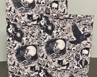 Edgar Allen Poe padded Book Sleeve, Fall tablet cover, Halloween Ipad sleeve, Book Cozy, reading gifts for women, teacher appreciation gift