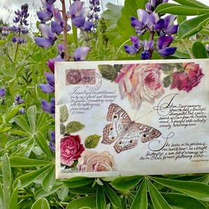 Un paquet de graines de style vintage flottant pour toujours dans le jardin des papillons paon