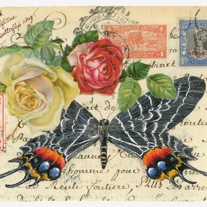 Bhutan Glory - Gulf Fritillary Butterflies vintage Cartes postales collectibles