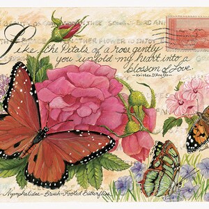 Pinsel-Fuß Familie Schmetterling Vintage Sammler Postkarten