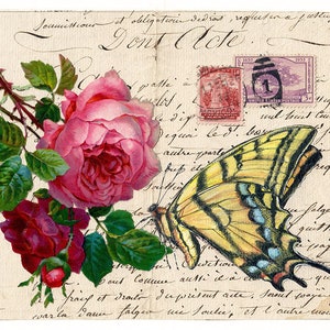 Swallowtail Rose - Tortues Papillons vintage Cartes postales collectibles