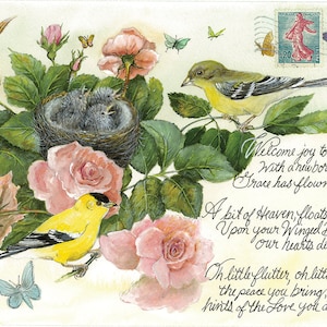 Bienvenue New Baby au Nest vintage Cartes postales collectibles