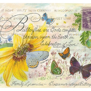 Gossamer-Winged Schmetterling Familie Vintage Sammler Postkarten