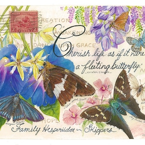 Skipper Family Butterfly vintage Cartes postales collectibles