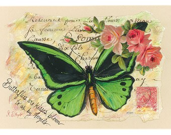 Queen Alexandra’s Birdwing & Mosaic Butterfly Vintage Postcards