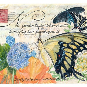 Cartes postales collectibles vintage Swallowtail Family Butterfly