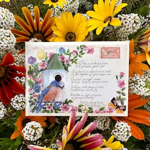 Mariage mon amour, ma maison, papillons et oiseaux bleus style vintage paquet de graines