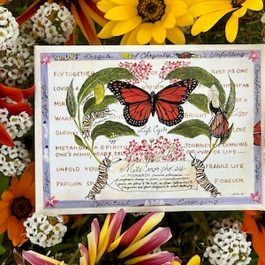 Sachet de graines vintage de cycle de vie de métamorphose du papillon monarque