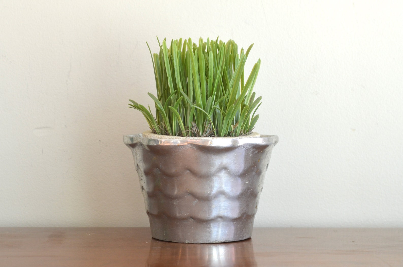 Vintage Silver Planter Rippled Flower Pot Succulent Planter Etsy