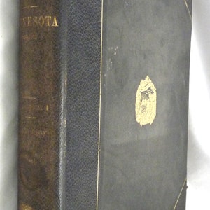 University Minnesota Report Geological Natural History Survey 1872 book nature art design antiquarian science