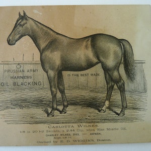 May include: Antique print of a horse named Carlotta Wilkes. The horse is depicted in a side profile, with text that reads "Prussian Army Harness Oil Blacking" and "Is the Best Made." Additional text includes the horse's record and owner.