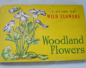 Guide Wild Flowers Woodland Everett vintage book Pocket Guide Whitma 2006 children home schooling