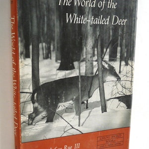 World White Tailed Deer Leonard Rue Vintage Book Photography 1962 1st