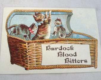 Burdock Bitters Victorian trade card Trade Card kittens basket Clements Cushman Center Montville ME patent medicine