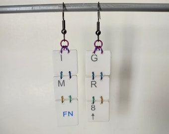 I'm Fn GR8 Computer Keyboard Key Earrings (can be converted to clip-on)