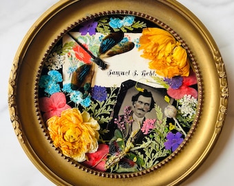 Real Insect Art: Dragonfly, Mantis & Antique Photo in Convex Frame